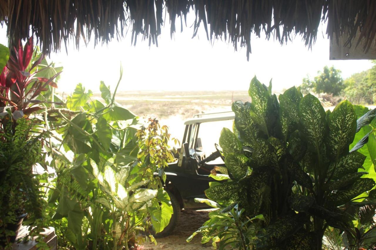 Villa Dunas Jeri ジジョーカ・デ・ジェリコアコアラ エクステリア 写真